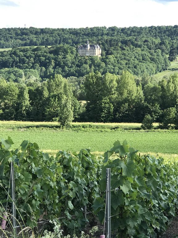 Château de Boursault (in the background) built between 1843 and 1850 by Madame Clicquot Ponsardin, the Veuve Clicquot who owned the Veuve Clicquot champagne house.